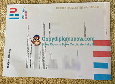 Hogeschool Utrecht Minor verklaring