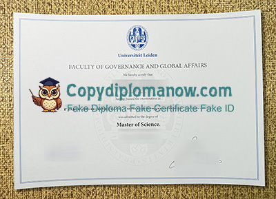 Leiden University Diploma