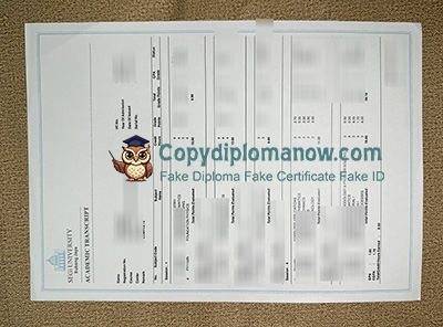 SEGi University Transcript