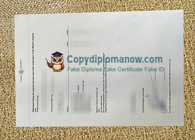 Tilburg University Transcript