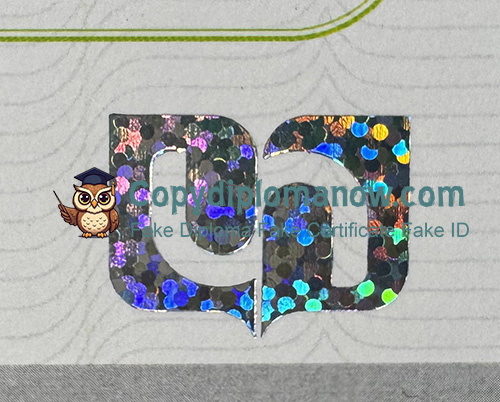 Université de Namur Diploma seal