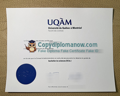 UQAM Diploma