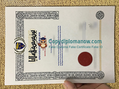 University of Malaya Diploma