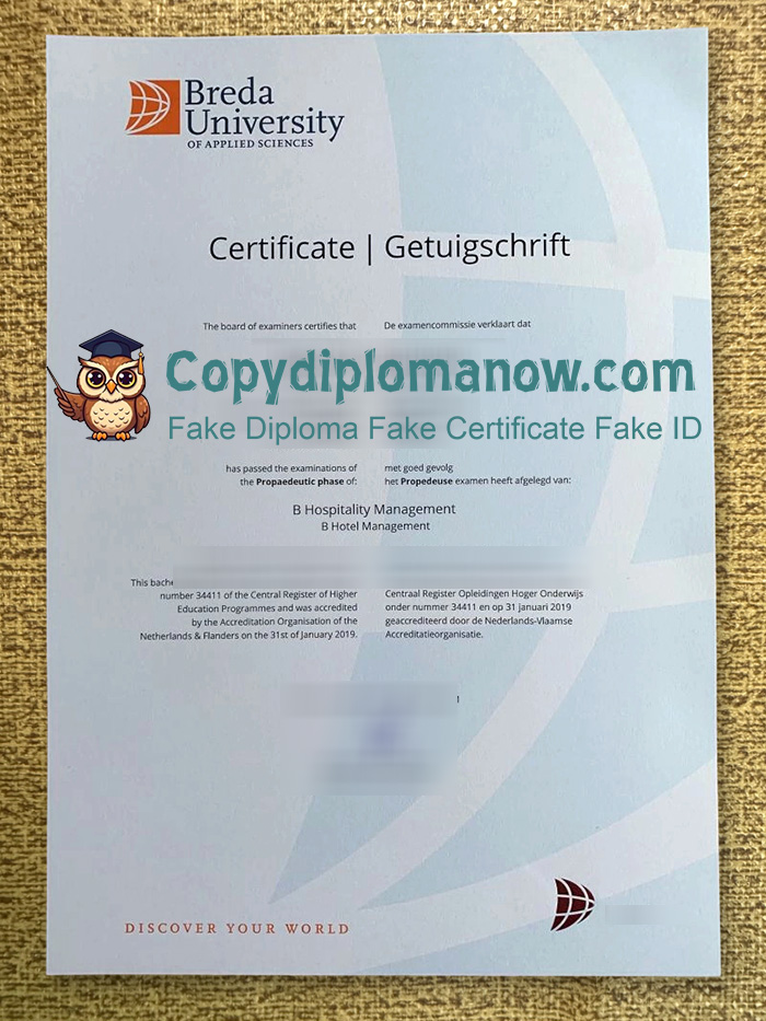 Breda University of Applied Sciences Diploma
