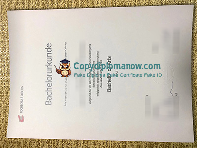 Hochschule Coburg Urkunde