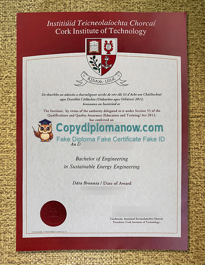 Cork Institute of Technology Diploma, CIT Diploma