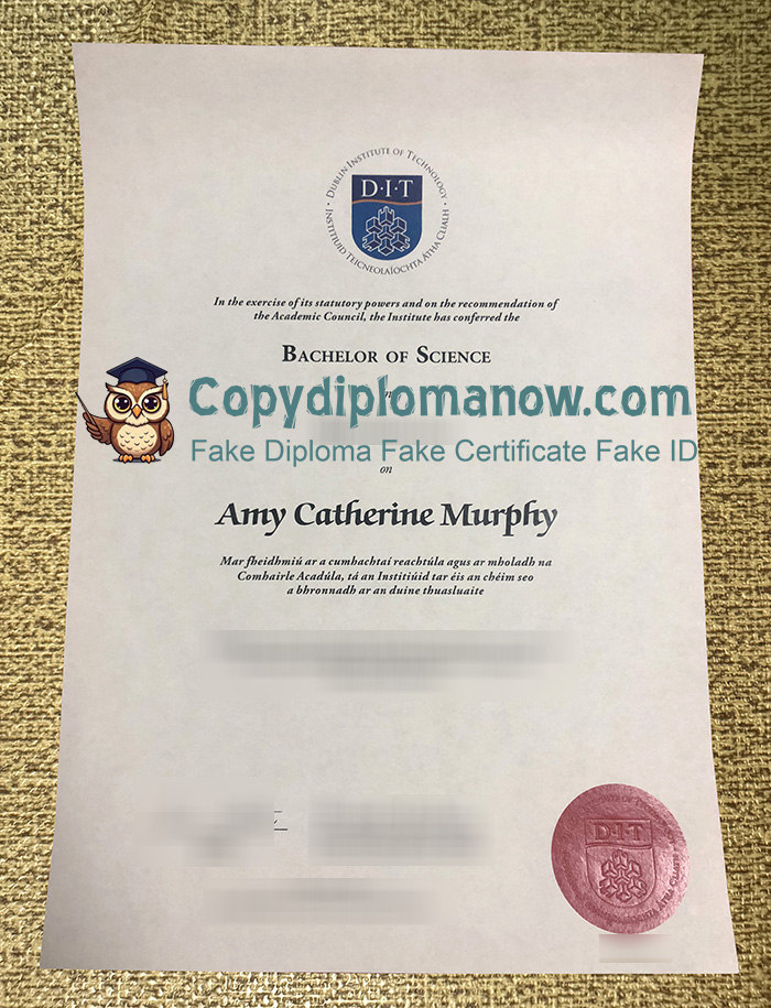 Dublin Institute of Technology Diploma