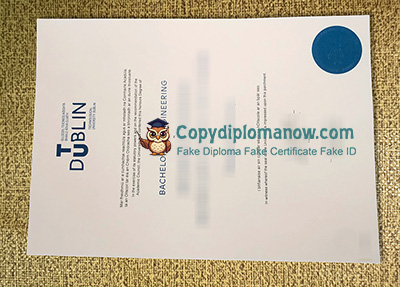 TU Dublin Diploma