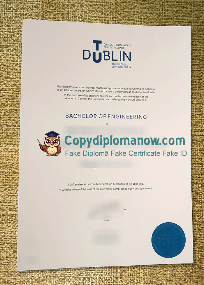 TU Dublin Diploma, Technological University Dublin Diploma