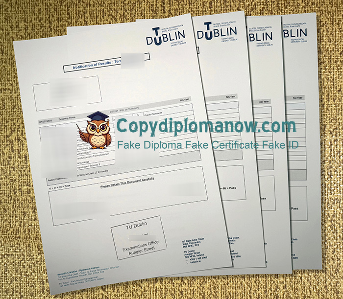 TU Dublin Transcript, Technological University Dublin Transcript