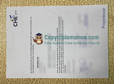 Christelijke Hogeschool Ede Diploma