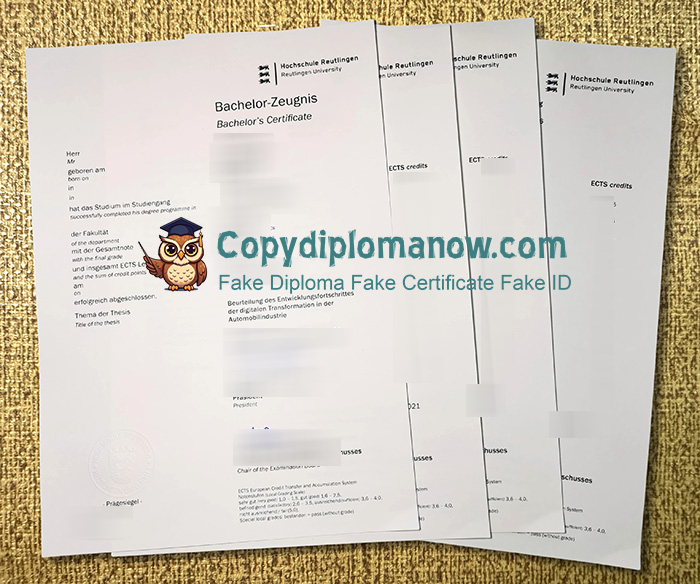 Hochschule Reutlingen Zeugnis, Reutlingen University Transcript