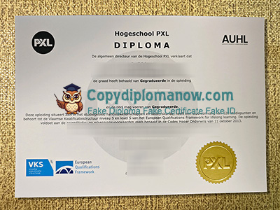 Hogeschool PXL Diploma