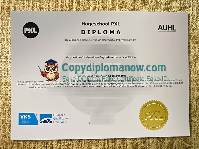 Hogeschool PXL Diploma
