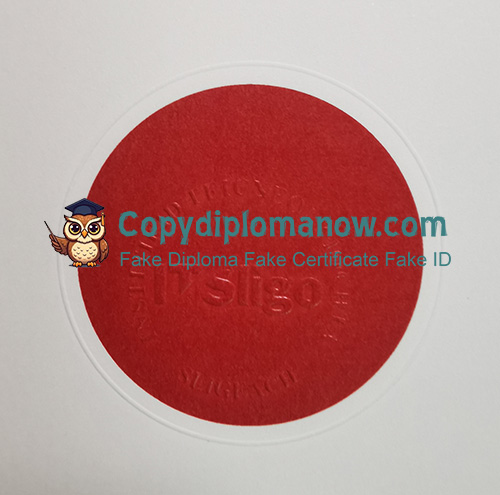 Institute of Technology Sligo Diploma seal