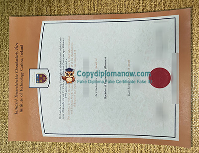 IT Carlow Diploma