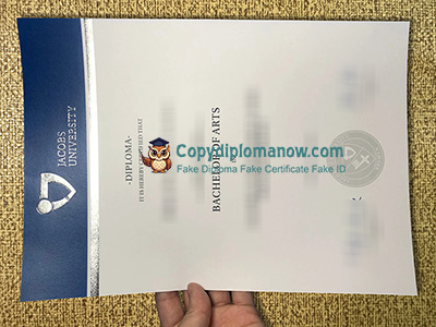 Jacobs University Diploma