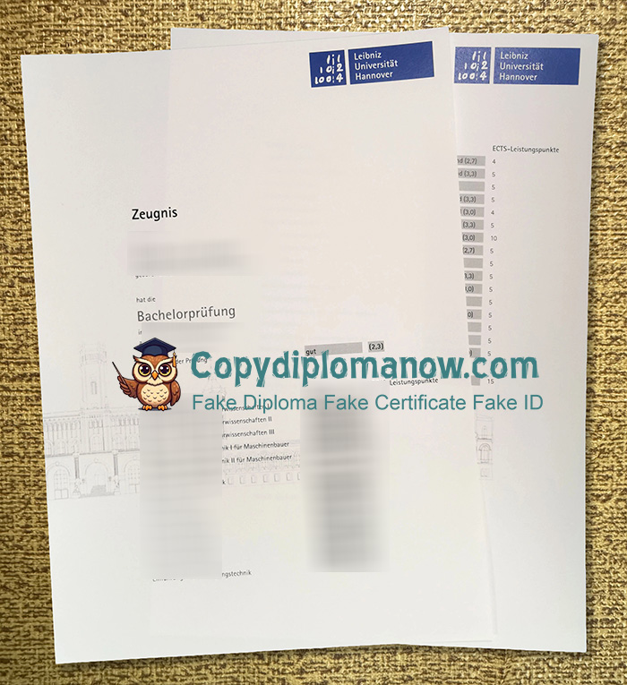 Leibniz Universität Hannover Zeugnis