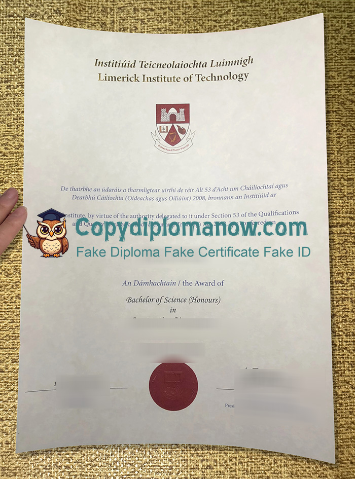 Limerick Institute of Technology Diploma, LIT Diploma