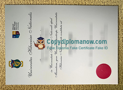 Maynooth University Diploma