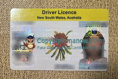New South Wales Driver Licence