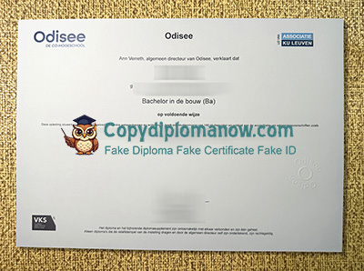 Odisee hogeschool Diploma