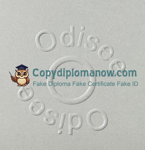 Odisee hogeschool Diploma seal