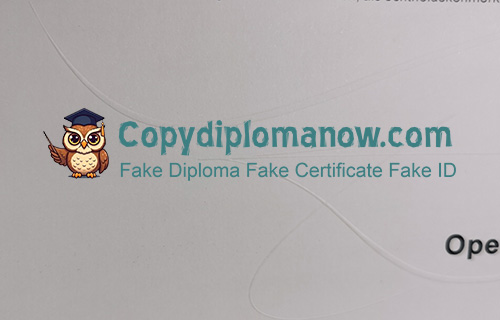 Open Universiteit Nederland Getuigschrift