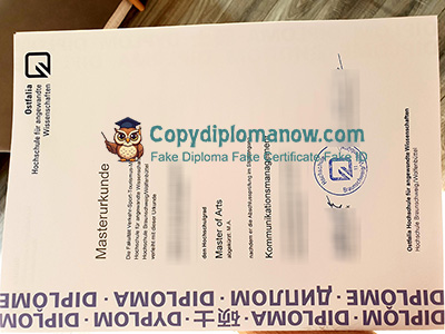 Ostfalia University of Applied Sciences Urkunde