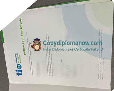 TIO University of Applied Sciences Diploma