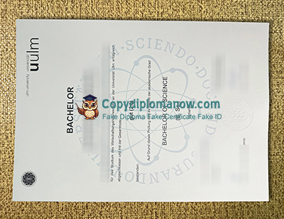 Universität Ulm Urkunde