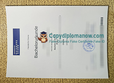 Universität Duisburg-Essen Urkunde