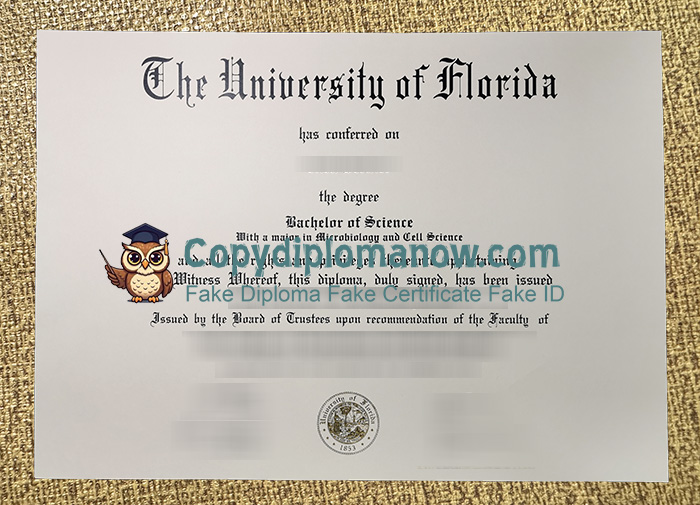University of Florida Diploma