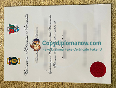 University of Galway Diploma