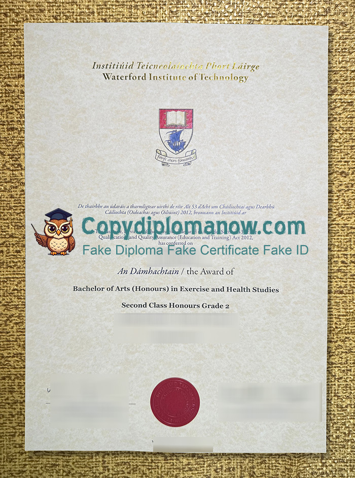 Waterford Institute of Technology Diploma, WIT Diploma