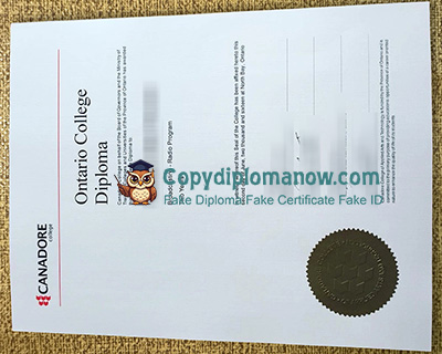 Canadore College Diploma