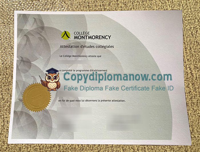 Collège Montmorency Diploma