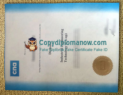 CNA Diploma