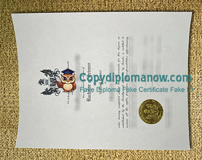 Dalhousie University Diploma