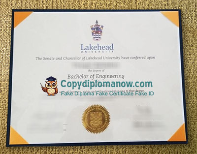 Lakehead University Diploma