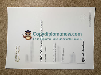 Linnaeus University Diploma