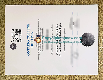 Niagara College Diploma