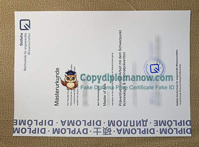 Ostfalia University of Applied Sciences Diploma