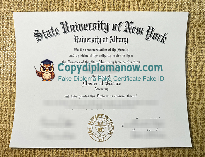 SUNY Albany Diploma