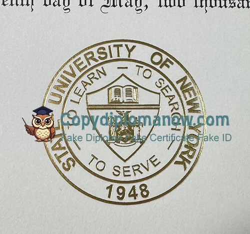 SUNY Albany Diploma seal