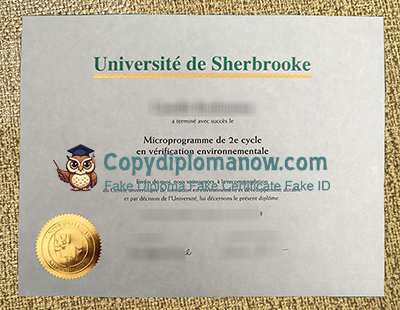 Université de Sherbrooke Diploma