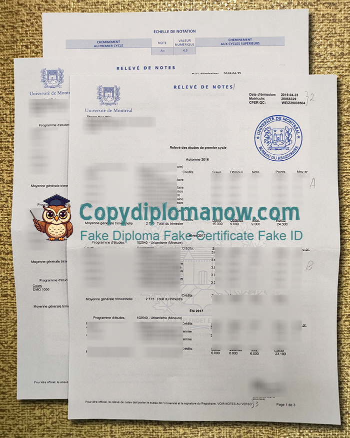 Université de Montréal Transcript