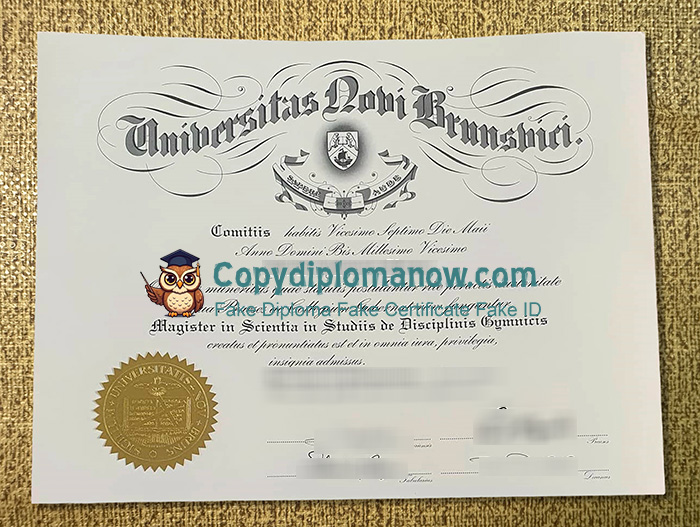 University of New Brunswick Diploma, UNB Diploma