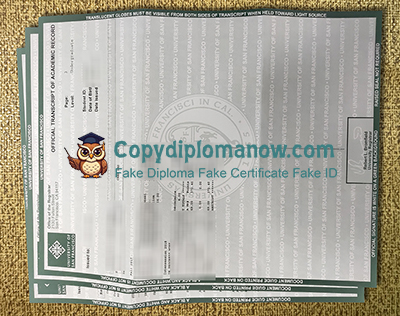 University of San Francisco Transcript