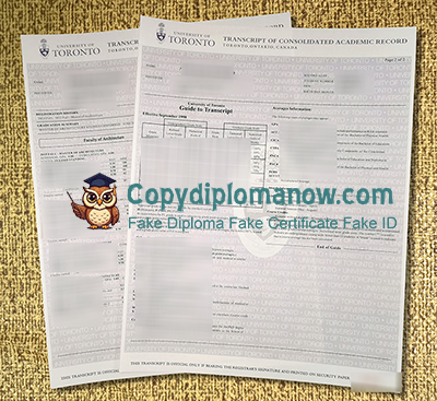 University of Toronto Transcript